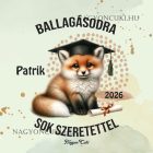 Névvel kérhető Róka mintás párna - 2026 évi Ballagásra