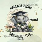 Névvel kérhető Elefánt mintás párna - 2026 évi Ballagásra