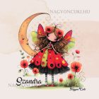 Névvel kérhető - Cuki pipacs tündérlány és a hold mintás párna