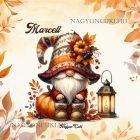 Névvel kérhető - Cuki őszi manó mintás párna