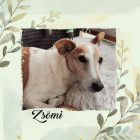 Egyedi - Kérd a kedvenced fotójával! - Portré, saját fotós párna