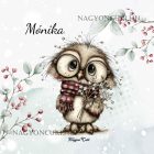 Névvel kérhető - Cuki karácsonyi bagoly szemüvegben mintás párna