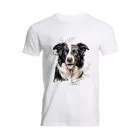 Névvel kérhető - Border Collie portré férfi póló
