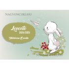Személyre szabható - Nyuszi és a papírrepülő mintás rajztartó