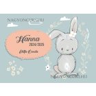 Személyre szabható - Aranyos kis nyuszi mintás rajztartó