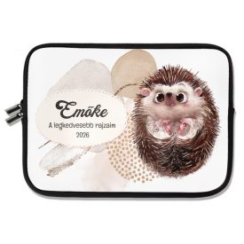 Személyre szabható - Cuki süni mintás rajztartó