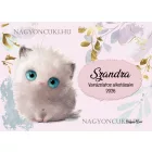 Személyre szabható - A nevem Hógolyó - Cuki cicus mintás rajztartó