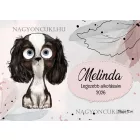 Személyre szabható - Figyelek Rád - Cuki kutyus mintás rajztartó