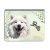 Névvel kérhető - Samoyed portré Univerzális Tablet tok