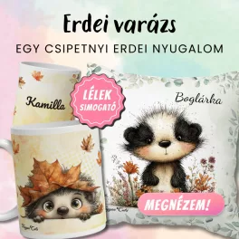 Erdei varázs
