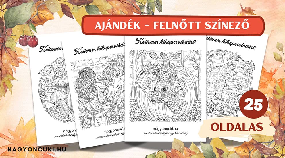 Ajándék őszi felnőtt kifestő