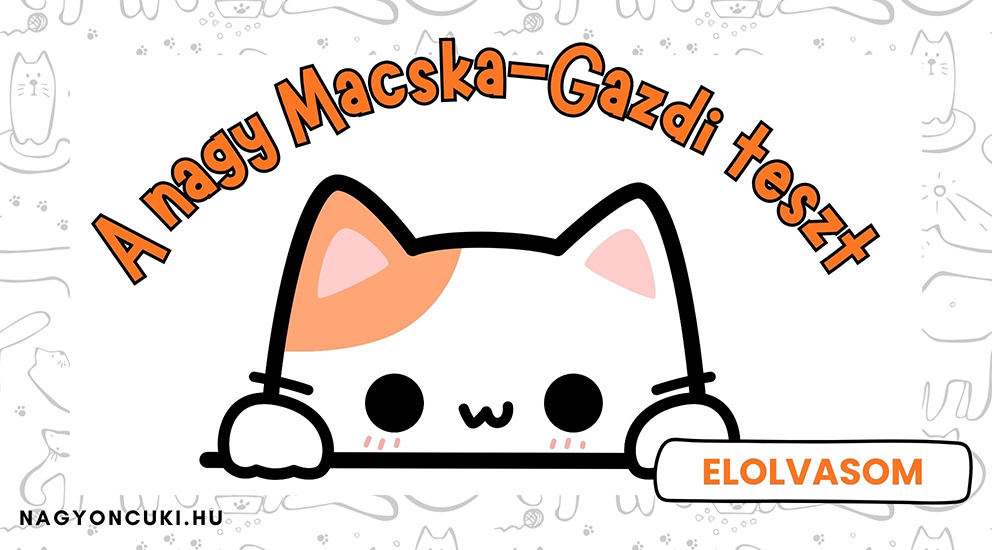 A Nagy Macska-gazdi Személyiségteszt